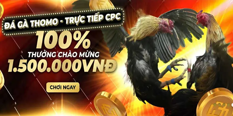 Đá Gà Good88 chất lượng, thưởng cao, an toàn