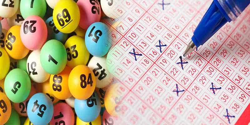 Cược bao lô thịnh hành